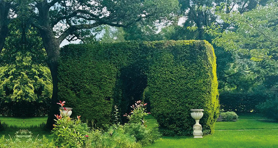 bybrookheaders21