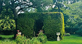 bybrookheaders21
